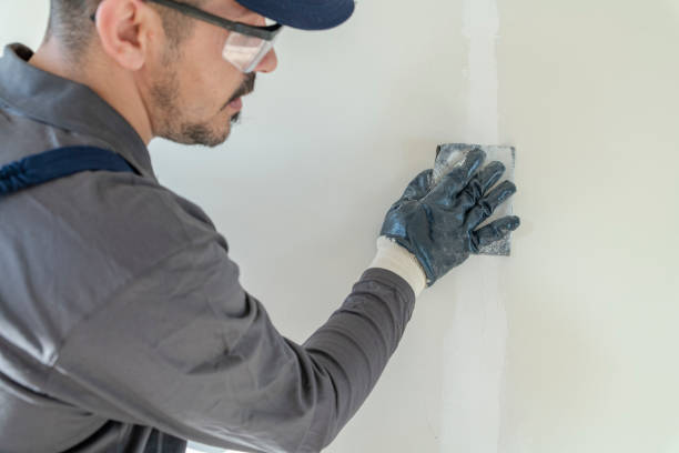 Best Water-Damaged Drywall Repair  in Davenport, IA