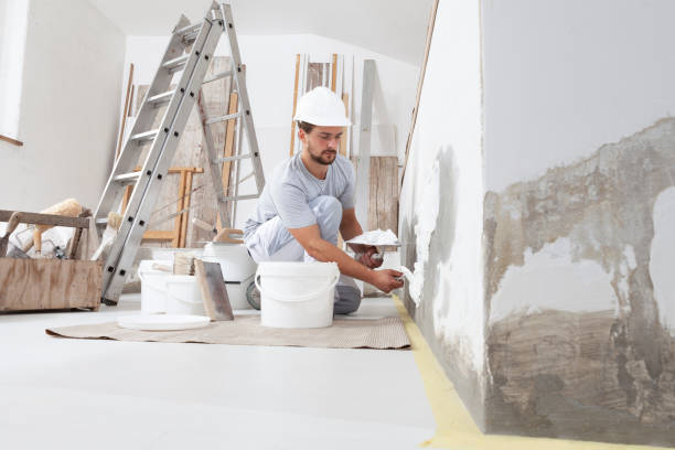  Davenport, IA Dry wall and painting Pros