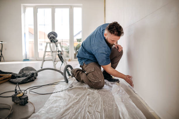 Best Drywall Crack Repair  in Davenport, IA