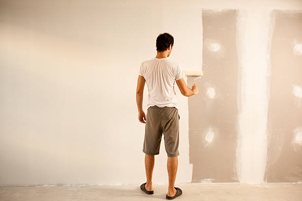 Best Drywall Sanding and Smoothing  in Davenport, IA