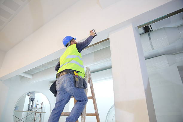 Best Drywall Texturing  in Davenport, IA